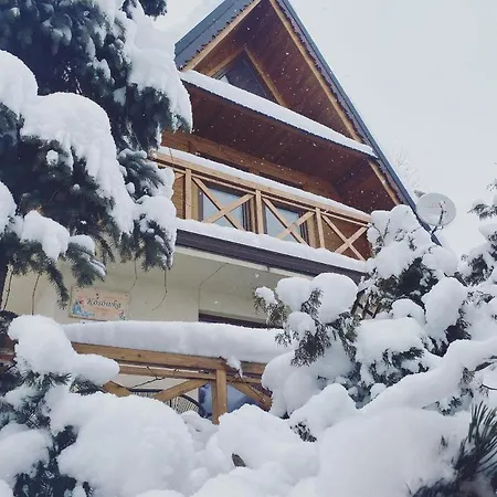 Villa Dom Pracy Tworczej Kosowka Kościelisko Exterior foto