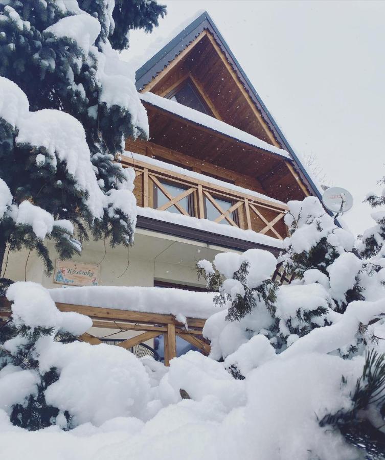 Chalet Dom Pracy Tworczej Kosowka *
