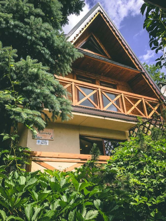 Dom Pracy Tworczej Kosowka Chalet